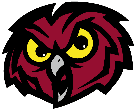 Temple Owls 1996-Pres Alternate Logo iron on transfers for fabric